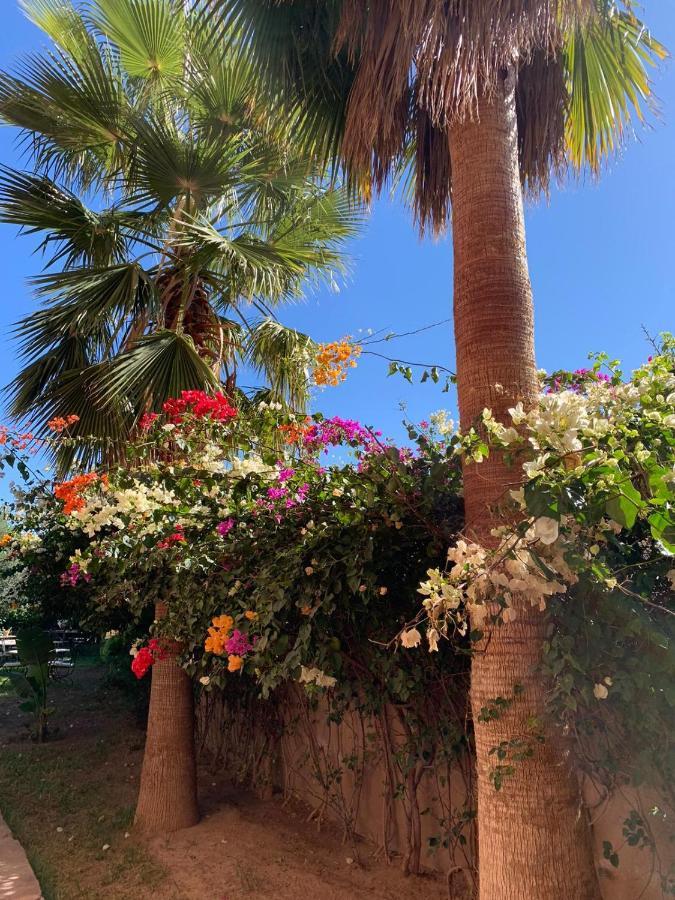 Les Terrasses Du Lac Marrakech Lalla Takerkoust Ngoại thất bức ảnh
